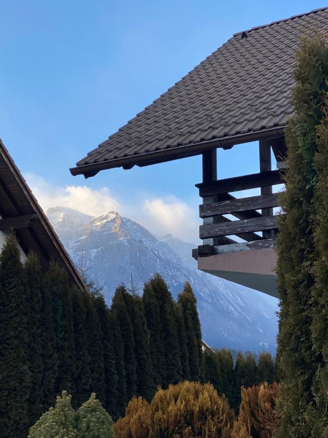 Jack Residence Buşteni Exteriér fotografie